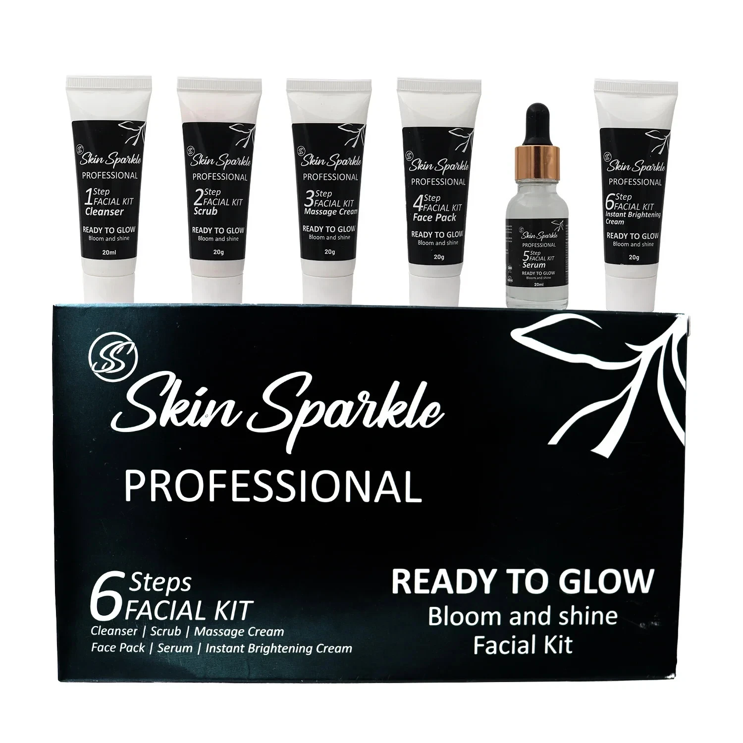Skin Sparkle Professional 6-Step Facial Kit for Glow and Shine
